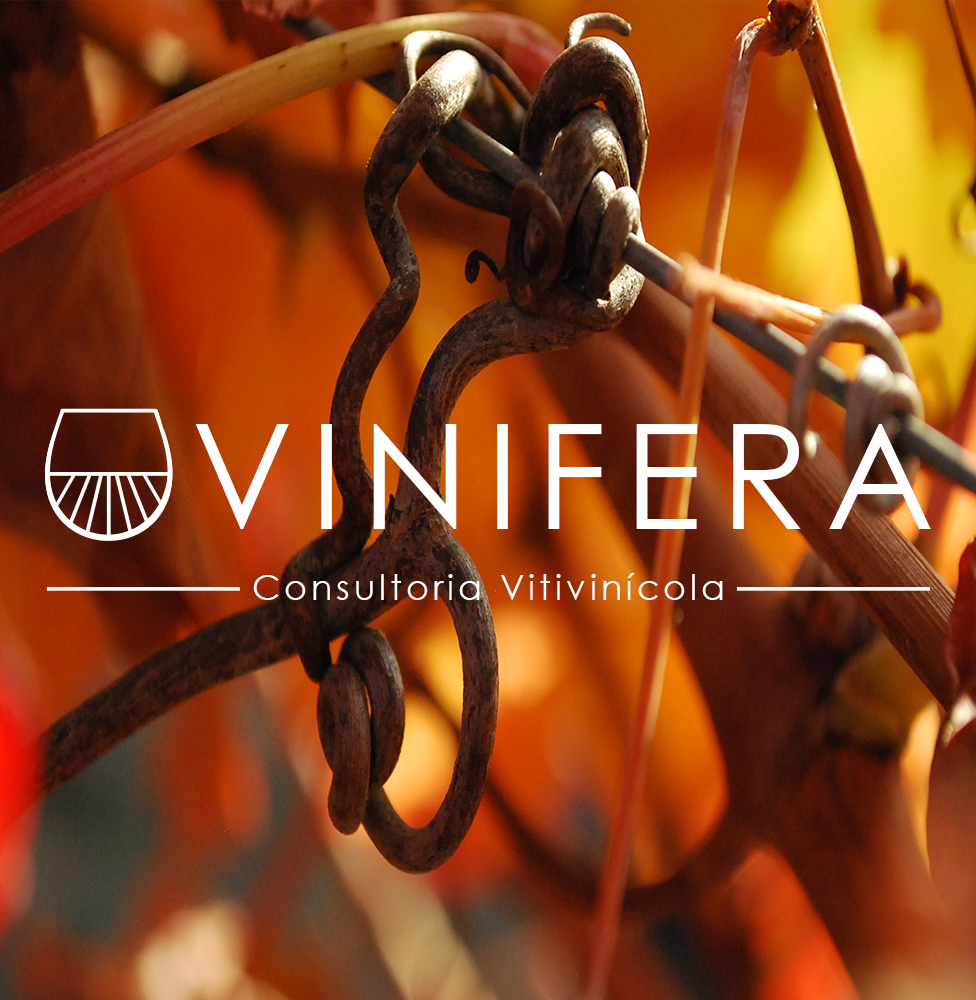 Free HTML5 Bootstrap Template